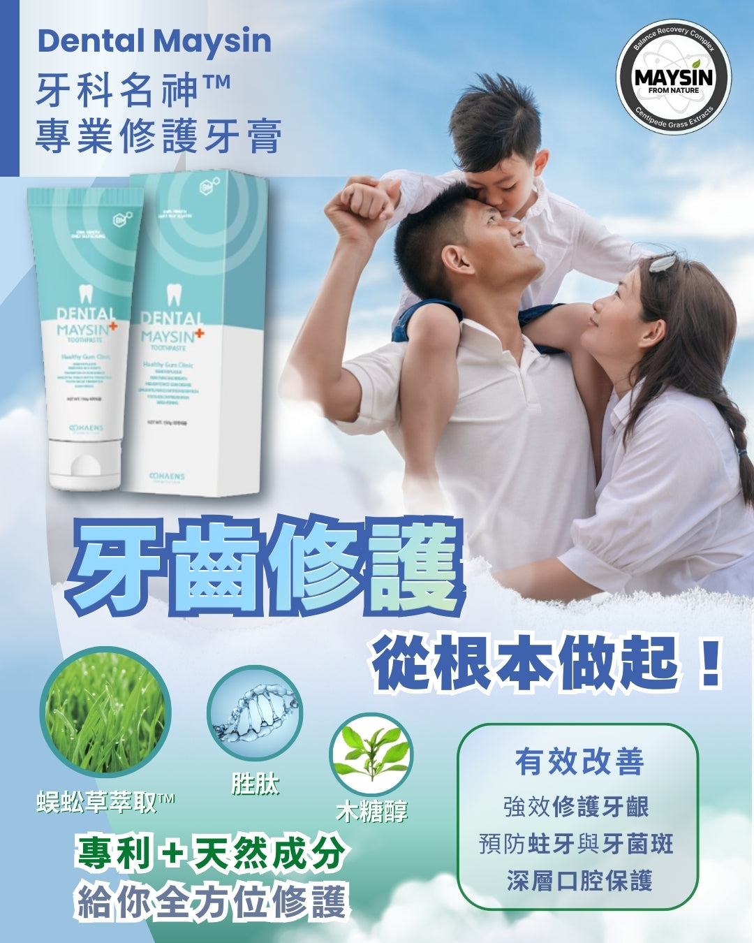 Dental Maysin 牙科名神 150g